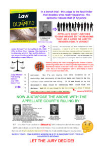 Appellate Judge Ruling Bullshit FINAL